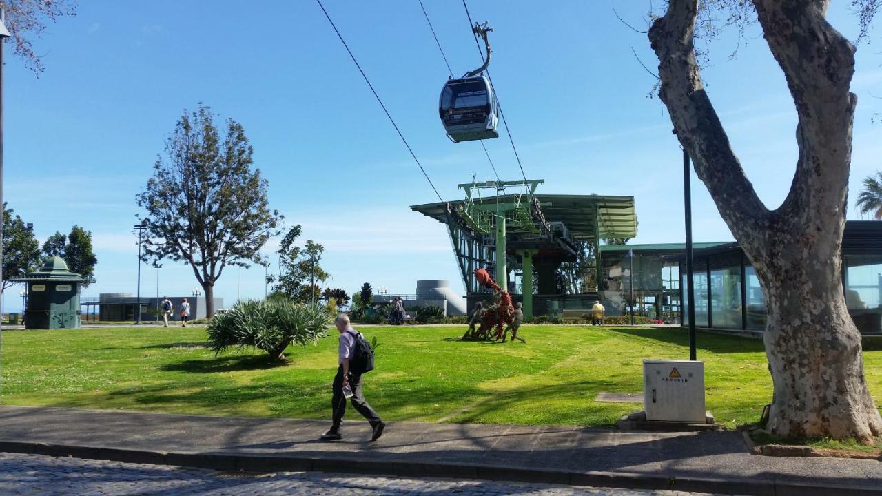 Top Floor In City Center Funchal المظهر الخارجي الصورة